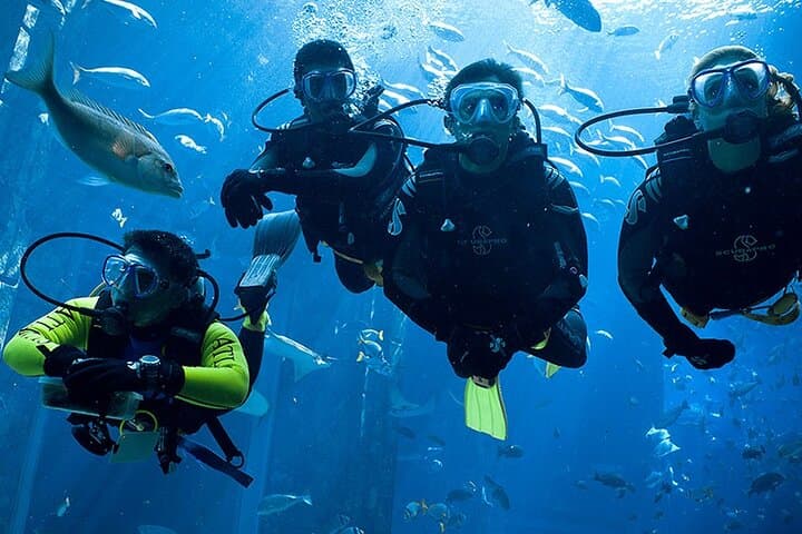 Agadir Seabed Discovery: Small-Group Atlantic Diving Adventure