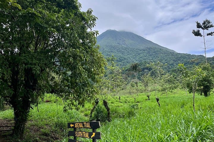 Easy Volcano Nature Trail: Guided Hike Near La Fortuna, Costa Rica photo 3