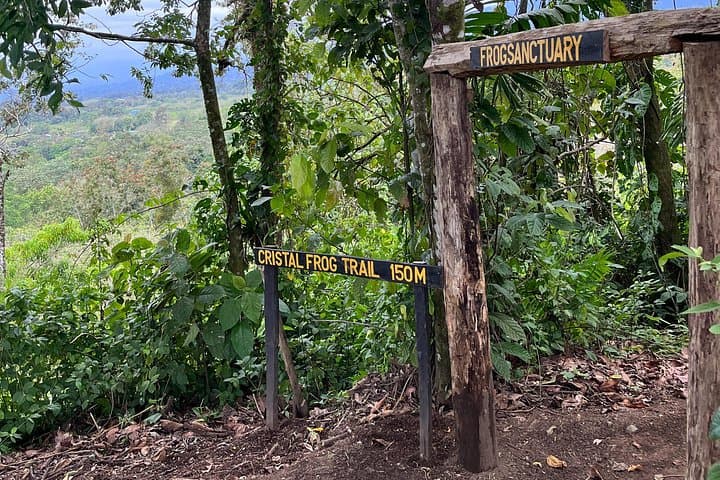 Easy Volcano Nature Trail: Guided Hike Near La Fortuna, Costa Rica photo 4