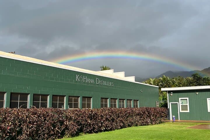 Dole Plantation & Kō Hana Rum Afternoon Tour — Pineapple Fields, Rum Tasting, and Coral Crater photo 1