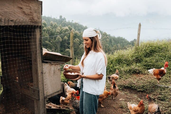 Family-Run Andean Finca: Horseback Riding, Farm Life & Local Flavors Near Medellín photo 3
