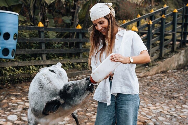 Family-Run Andean Finca: Horseback Riding, Farm Life & Local Flavors Near Medellín photo 5