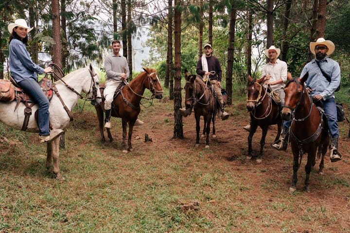 Family-Run Andean Finca: Horseback Riding, Farm Life & Local Flavors Near Medellín photo 6