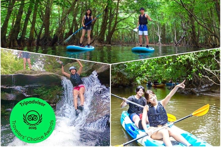 Iriomote Mangrove SUP, Canoe & Splash Canyoning Day Tour from Ishigaki