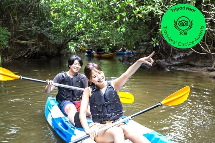 Iriomote Mangrove SUP & Canoe Tour — Paddle the Mangrove Rivers of Iriomote