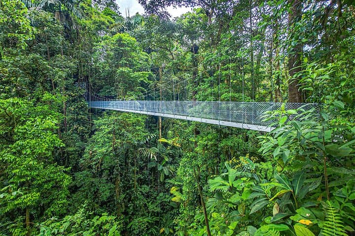 Walking the Mistico Arenal Hanging Bridges: Treetop Trails & Arenal Views photo 4