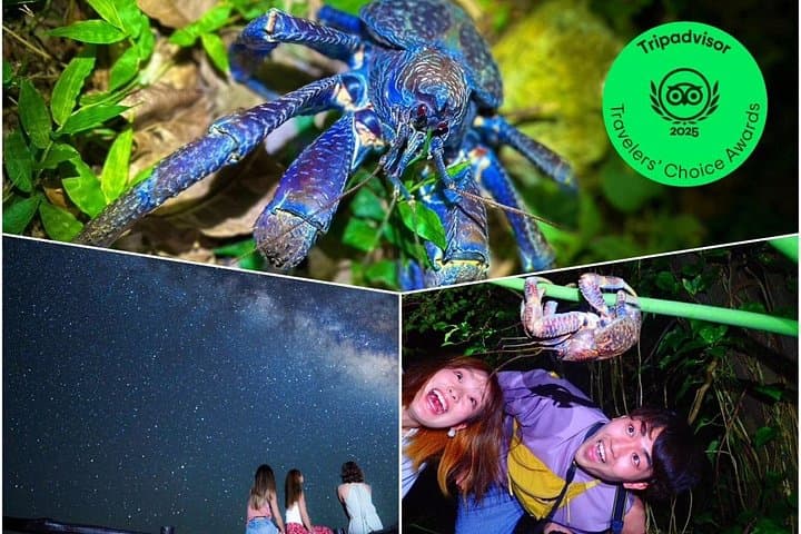 Ishigaki Night Jungle and Starry Sky Tour — Okinawa Subtropical Night Walk photo 1