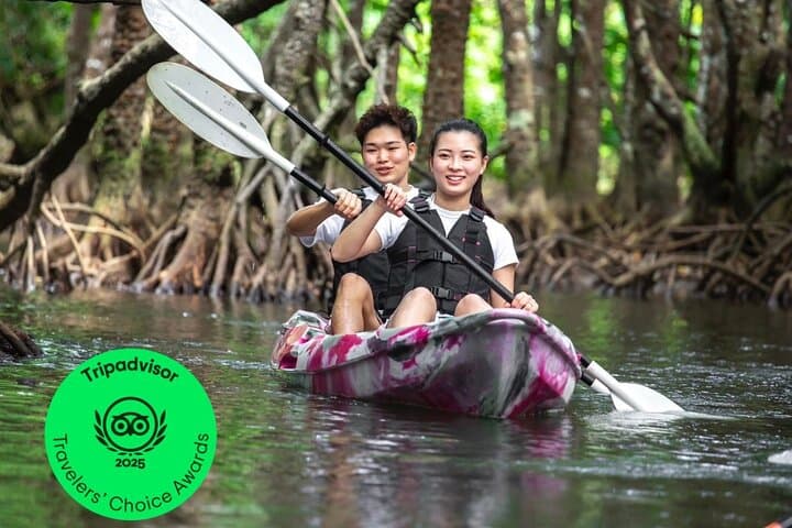 Ishigaki Mangrove SUP & Canoe Tour on Miyara River — Eco Paddle Through a National Monument
