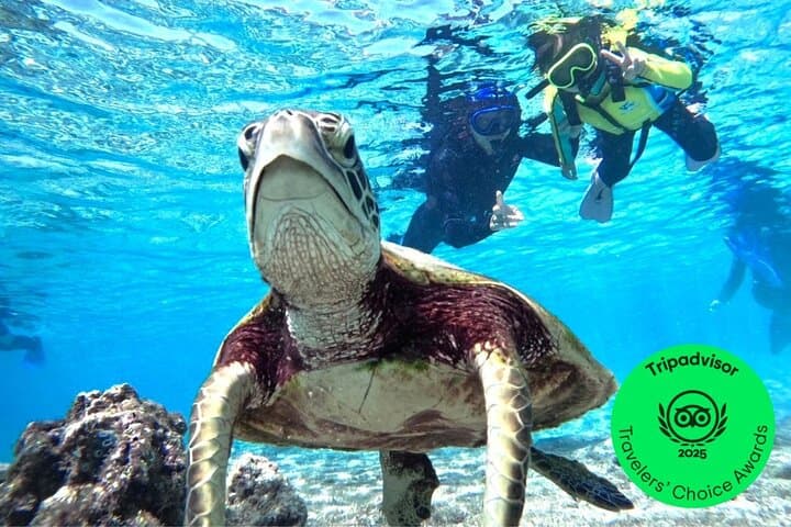 Miyako Island SUP, Canoe & Sea Turtle Snorkel — Full-Day Ocean Adventure photo 1