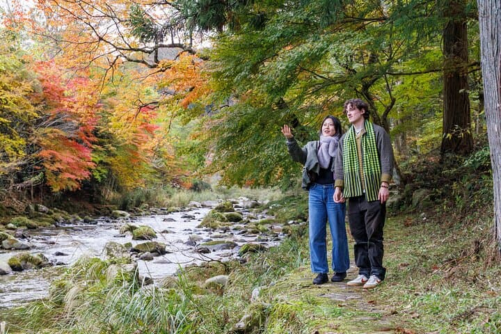 Toyota Green Life Inabu: Autumn Leaves and Gohei Mochi Farming Experience photo 4