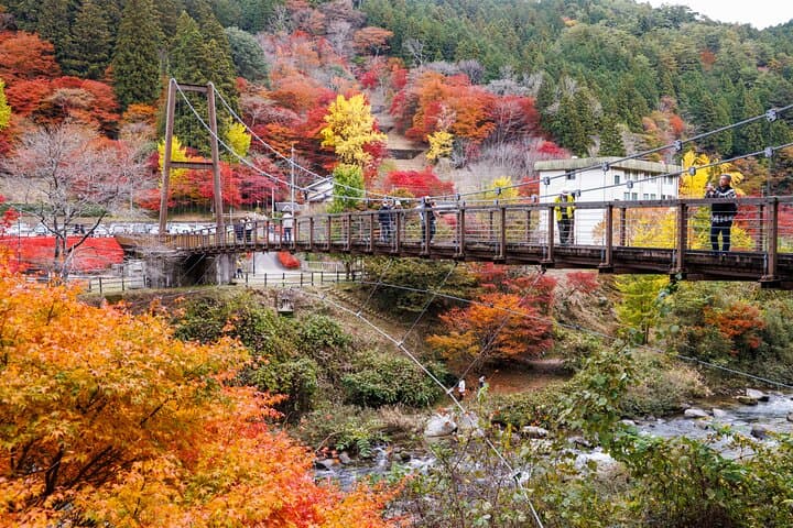 Toyota Green Life Inabu: Autumn Leaves and Gohei Mochi Farming Experience photo 5