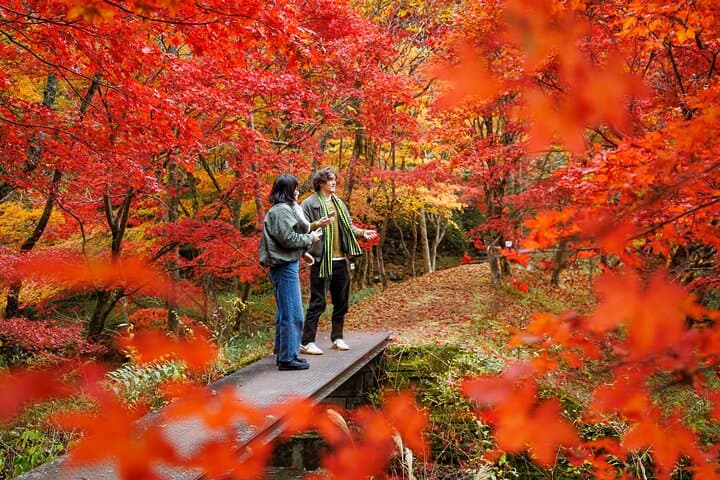 Toyota Green Life Inabu: Autumn Leaves and Gohei Mochi Farming Experience photo 2