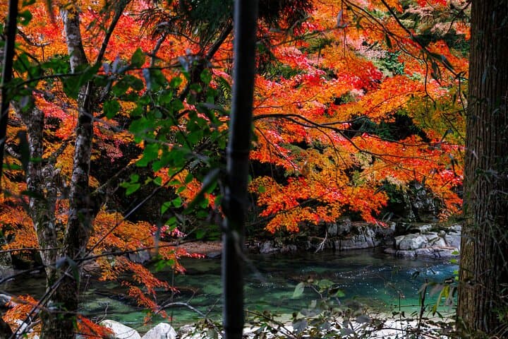 Toyota Green Life Inabu: Autumn Leaves and Gohei Mochi Farming Experience photo 3