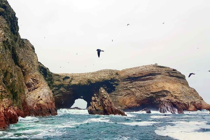 Ballestas Islands Scooter Tour — Paracas National Reserve Day Trip photo 3