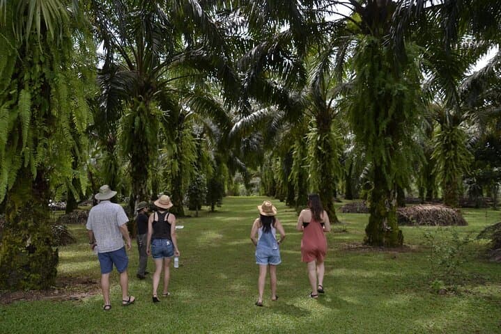 Quepos Chocolate and Spices Farm Tour — Cacao, Coffee & Wood-Fired Meals