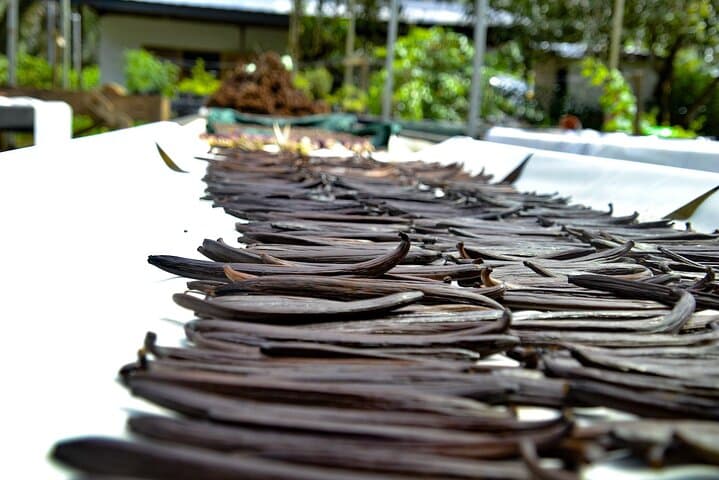 Quepos Chocolate and Spices Farm Tour — Cacao, Coffee & Wood-Fired Meals photo 5