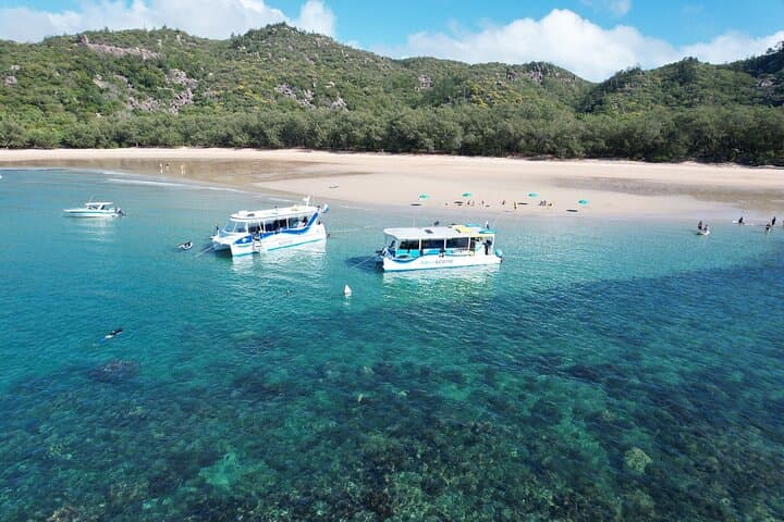 Magnetic Island Discovery Eco Tour from Townsville — Snorkel, SUP & Wildlife