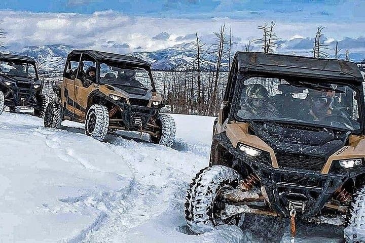 2-Hour UTV Rentals Near Woodland Park — Self-Drive Off-Road Tours in Pike National Forest photo 3