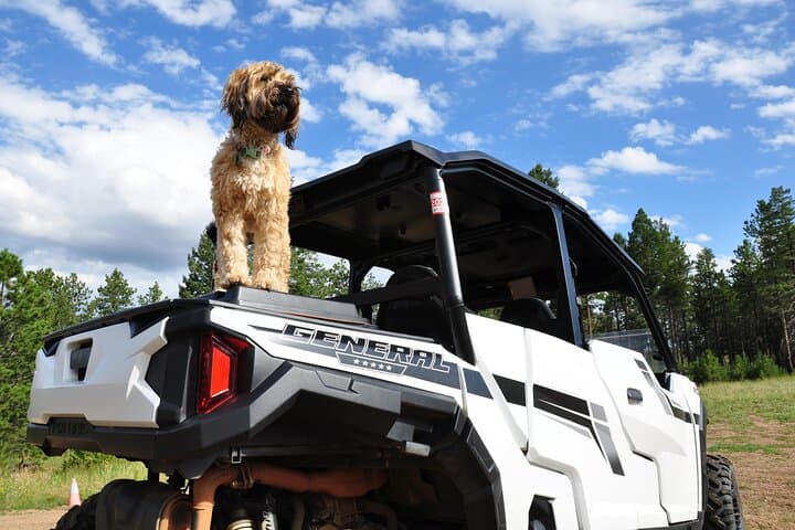 Woodland Park UTV Adventure: 2-Hour Guided Off-Road Tour to Pikes Peak Vistas photo 2