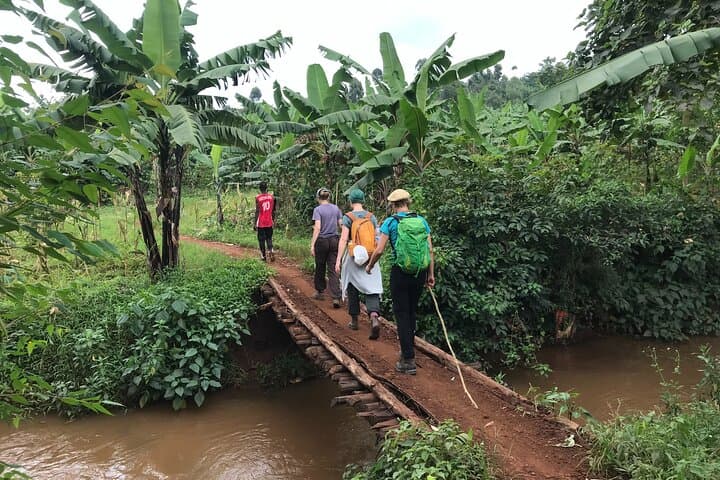 3-Day Mount Elgon Hike to Wagagai Peak: Summit Camping, Moorland & 360° Views photo 2