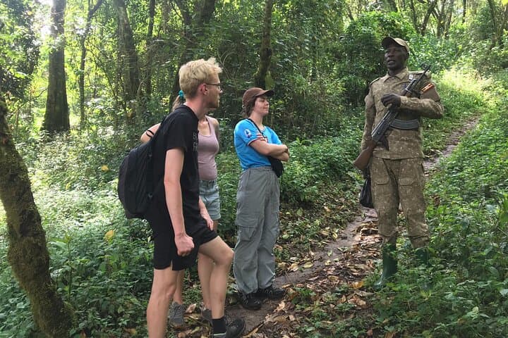 3-Day Mount Elgon Hike to Wagagai Peak: Summit Camping, Moorland & 360° Views photo 4