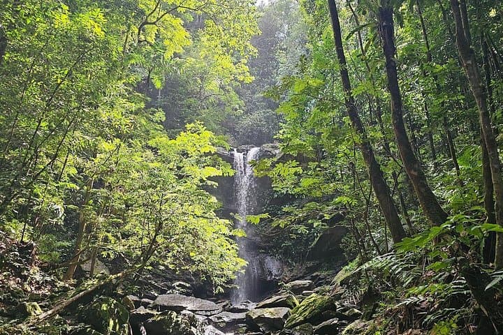 Avocat Waterfall Hike and Maracas Bay Beach Day — Hike, Swim & Bake and Shark in Trinidad photo 4