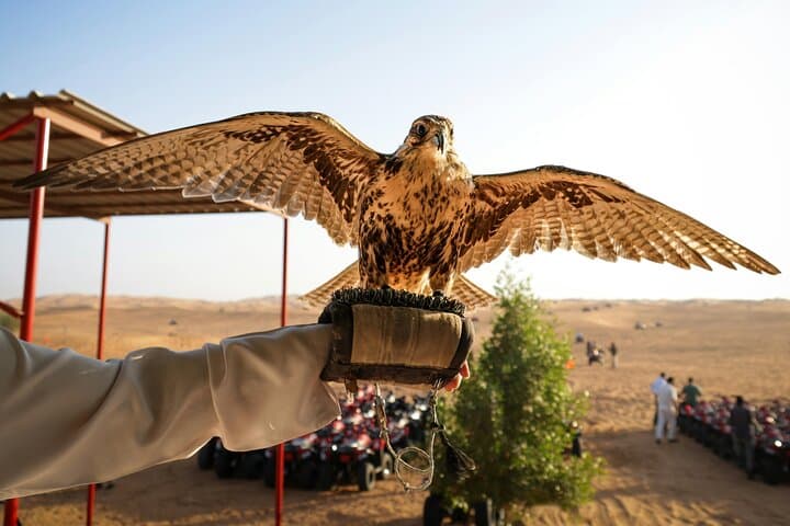 Abu Dhabi Desert Safari with Quad Bike, Camel Ride & BBQ Dinner photo 4