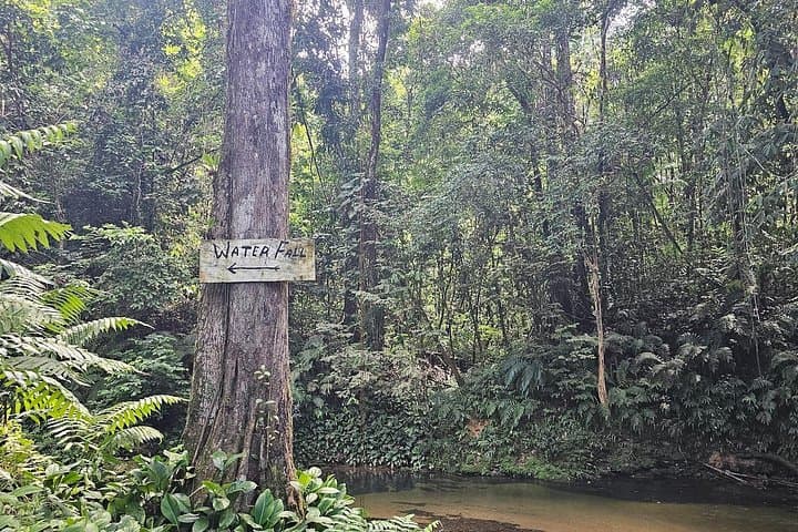 Avocat Waterfall Hike and Maracas Bay Beach Day — Hike, Swim & Bake and Shark in Trinidad photo 2