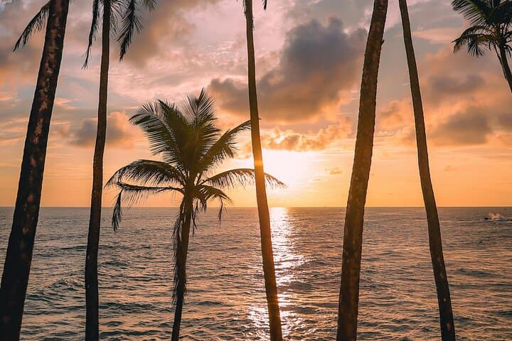 Sri Lanka 8-Day Beach Bliss & Mirissa Whale Watching Itinerary photo 2