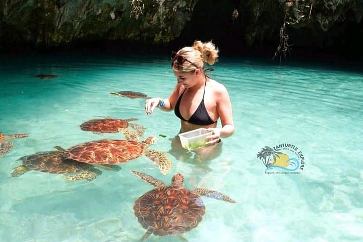 Jozani Forest, Salaam Cave & The Rock Restaurant — Zanzibar Day Tour Guide photo 6