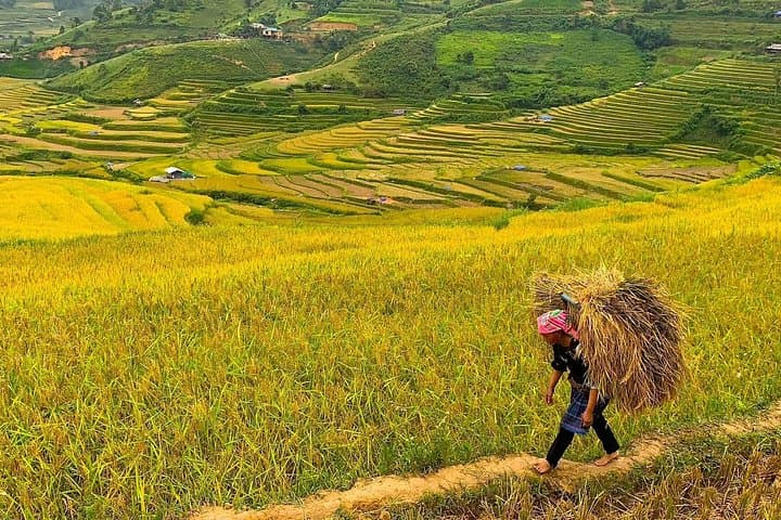 Hanoi to Sapa 3-Day Trek & Homestay in Ta Van Village photo 1