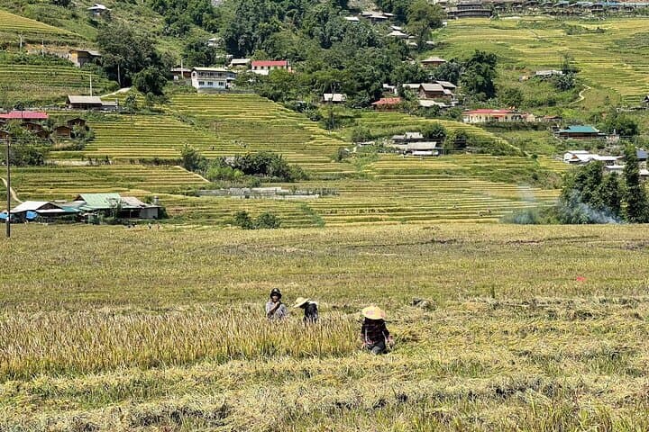 Sapa 2-Day Trek and Homestay Through Muong Hoa Rice Terraces photo 1