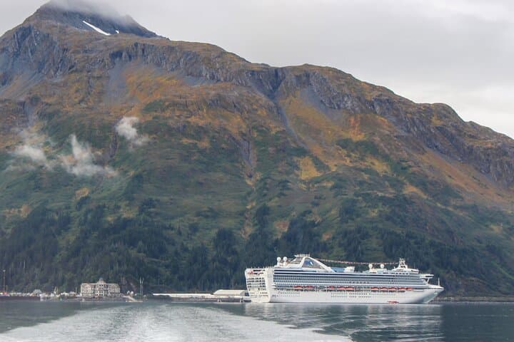Anchorage to Whittier: Seward Highway Transfer and Alaska Wildlife Center Visit photo 1