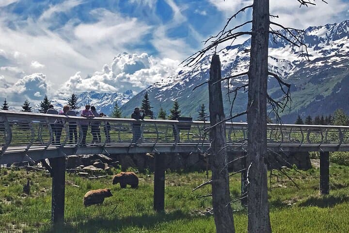Anchorage to Whittier: Seward Highway Transfer and Alaska Wildlife Center Visit photo 3