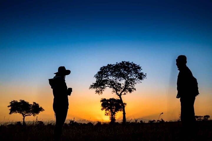 Sunset 4WD Safari in Kruger National Park: Chase the Big Five at Dusk photo 6