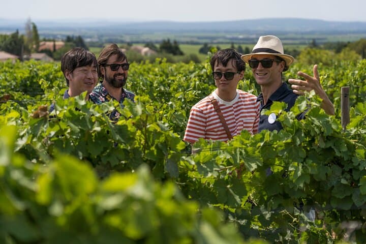 Half-Day Rosé & Côtes de Provence Wine Tour from Marseille