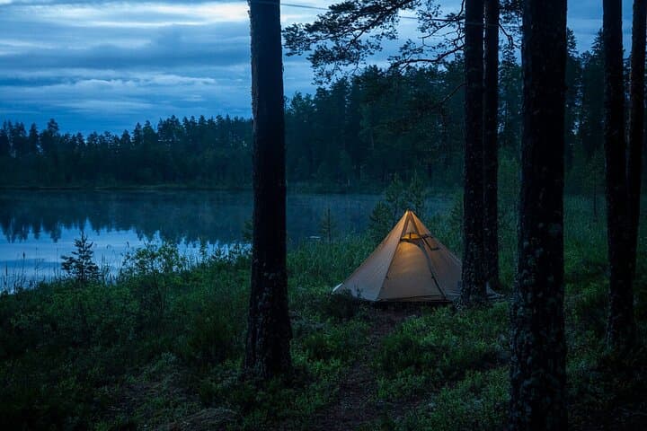 central-sweden-wildlife-tour-wolves-moose-beavers photo 5