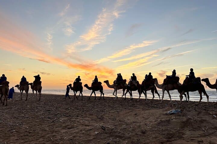 Sunset Camel Ride & Beach Barbecue at Tamri — Camel Trek Through Banana Fields to the Atlantic photo 6
