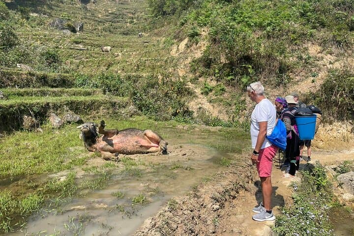 Hanoi to Sapa 2-Day Trek: Rice Terraces, Ethnic Villages & Fansipan Views photo 5