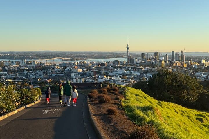 Auckland Sunrise at Mount Eden: Private Early Morning Summit & Domain Walk photo 3