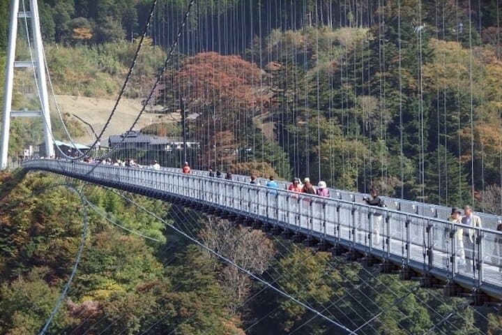 Hells of Beppu and Kokonoe Yume Bridge: Private 6-Hour Shore Excursion photo 2