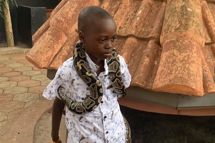 Ouidah Essentials: Guided Cultural Walk to the Temple of Pythons and Door of No Return photo 4