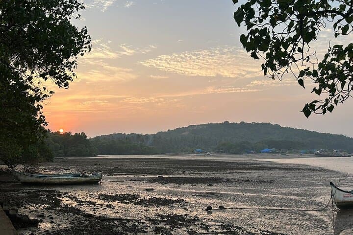 Chapora River Private Tour: Ozran Beach, Chapora Fort & Backwater Backroads