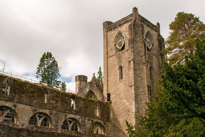 Cairngorms Day Hike from Edinburgh: Glenmore 5.5-Mile Guided Walk photo 3