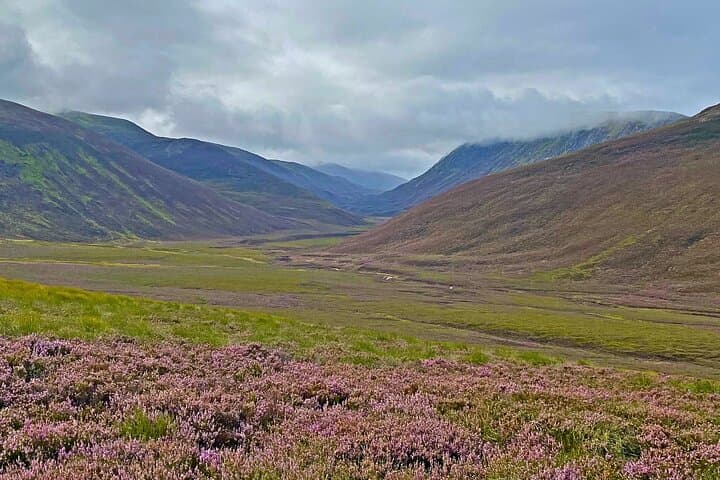 Into the Wild: Cairngorms Walking Tour from Inverness photo 4