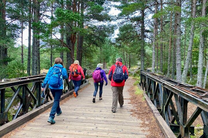 Cairngorms Day Hike from Edinburgh: Glenmore 5.5-Mile Guided Walk