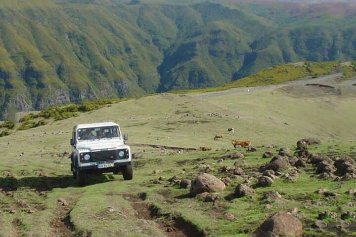 Jeep Safari to Madeira’s West: Laurisilva, Cliffs & Volcanic Pools photo 5