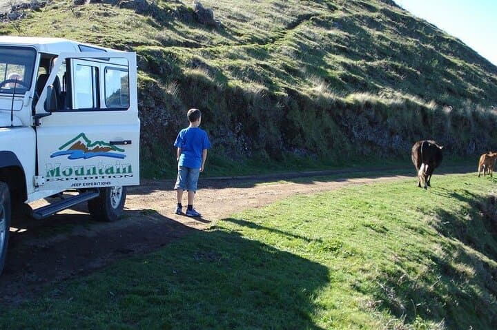 Jeep Safari to Madeira’s West: Laurisilva, Cliffs & Volcanic Pools photo 3