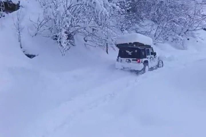 Makhuntseti Quad, Buggy & Jeep Wildlife Tours — Guided English & Russian Rides photo 4