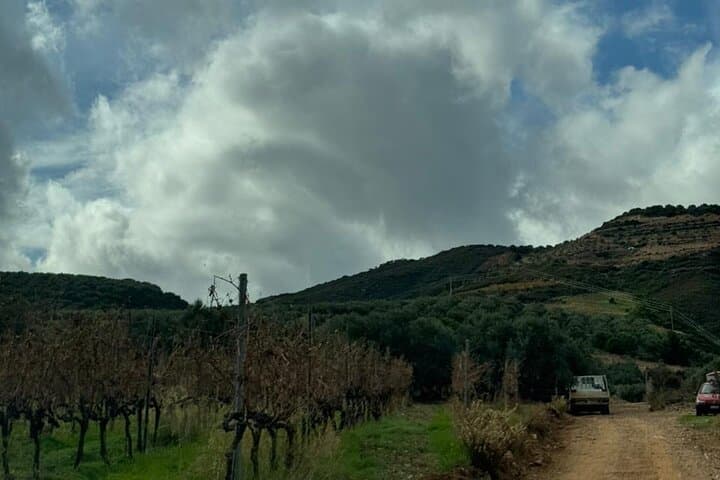Cretan Culture and Mountain Off-Road Adventure from Chania photo 2